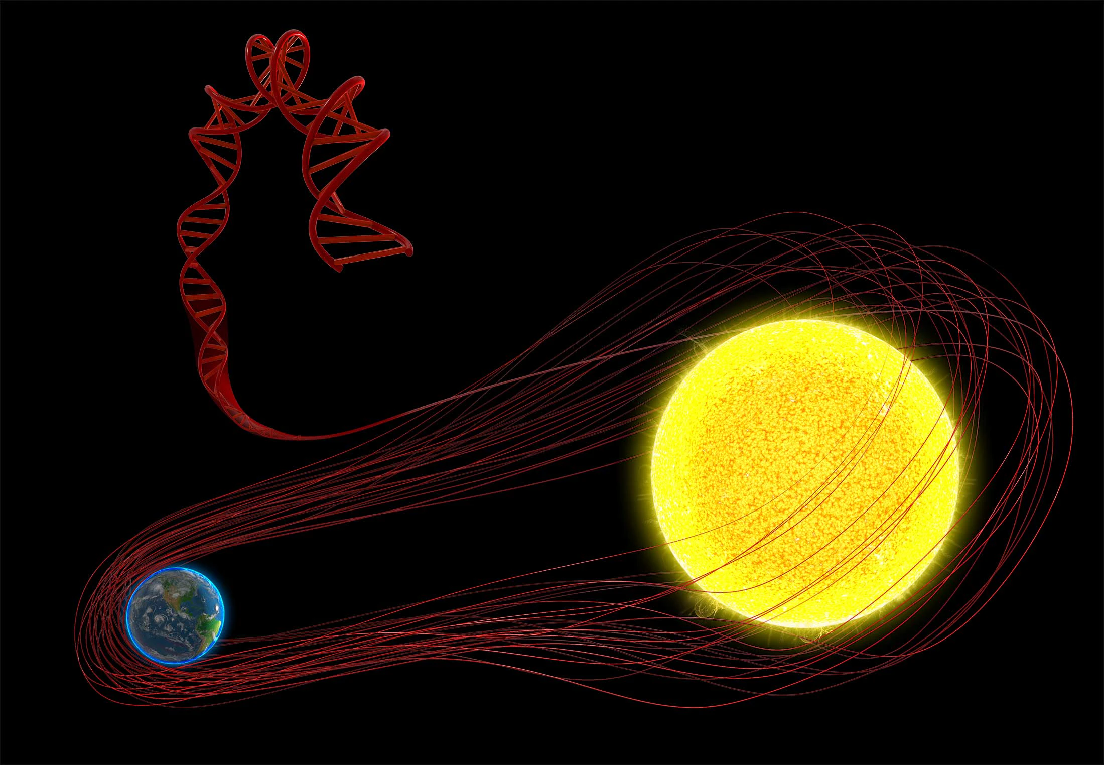 Hoeveel DNA zit er in het menselijk lichaam? | wibnet.nl