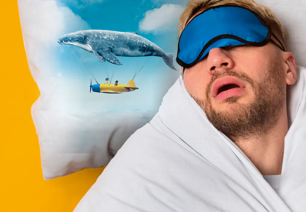 Nu kan forskerne styre dine drømme | illvid.dk