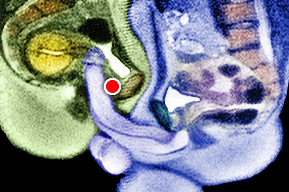 Jinsiy olatni porno video vibro uzuk Talaba internetda qattiq sikiladi