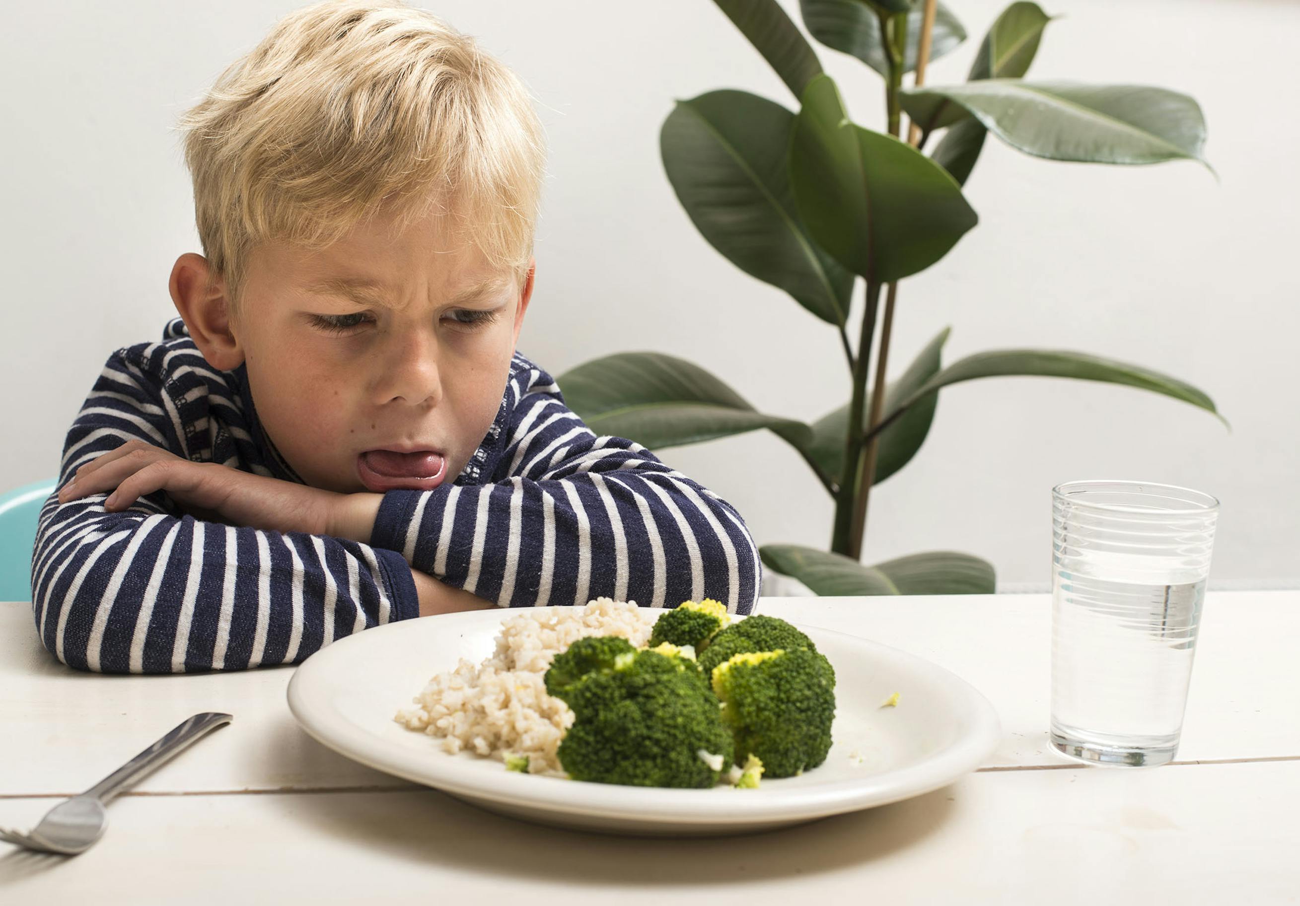 Varf r r Barn S Kr sna Illvet se Varf r r Barn S Kr sna Illvet se