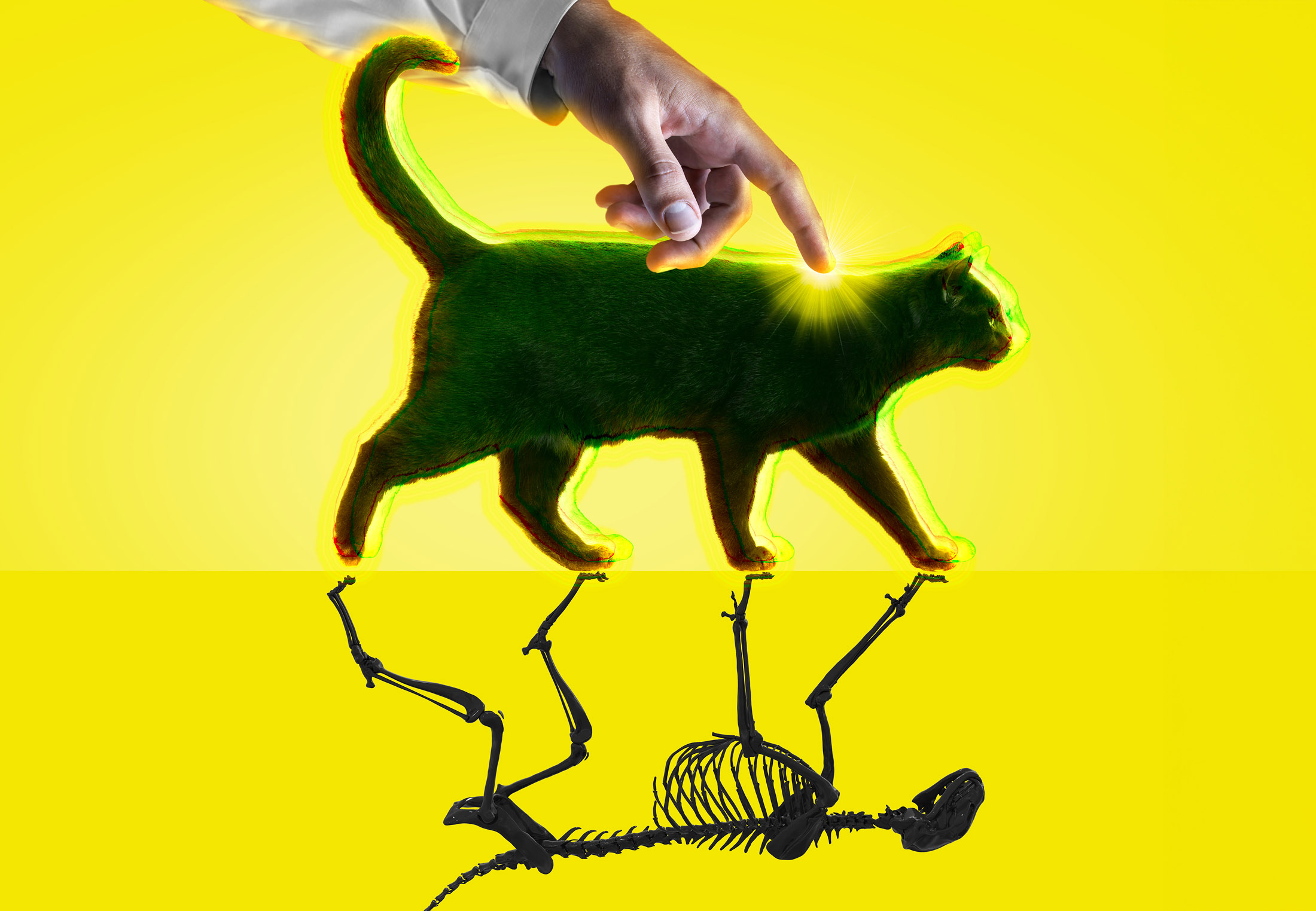 Wetenschappers doen Schrödingers kat in het echt