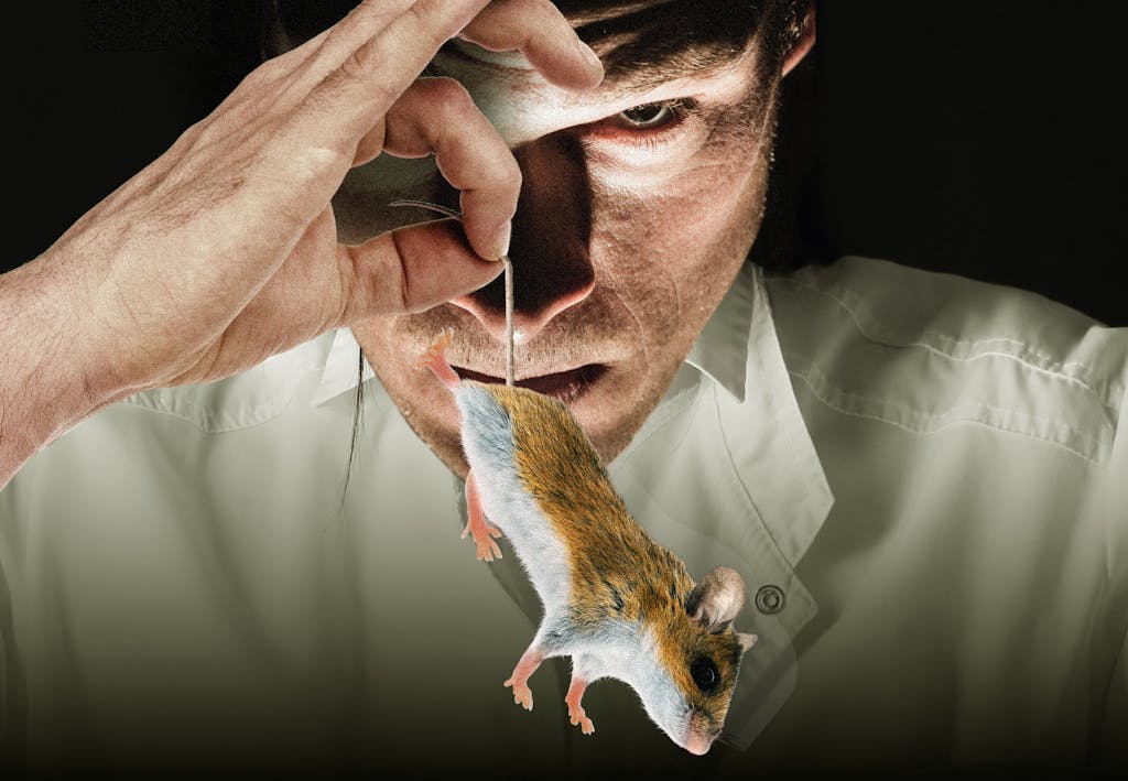 Mandlig -forskere skraemmer musene Mandlig -forskere skraemmer musene
