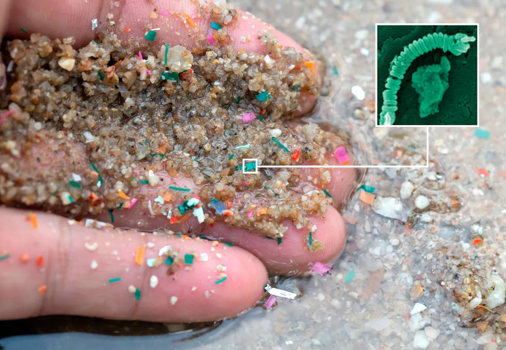 3 technologies to eliminate microplastic | scienceillustrated.com