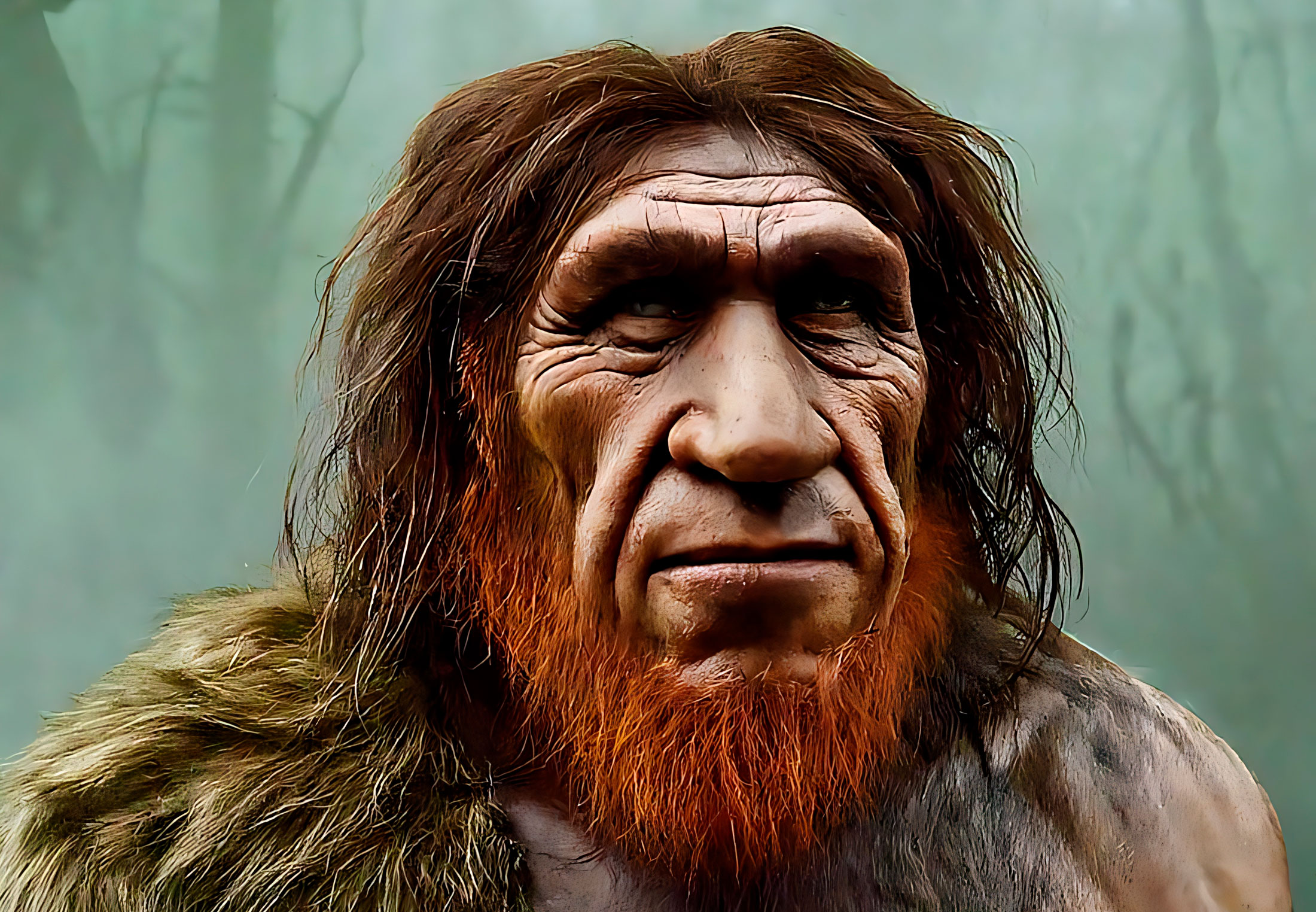 Siperialaisluurangot Kertovat Neandertalinihmisen Kohtalosta | Tieku.fi