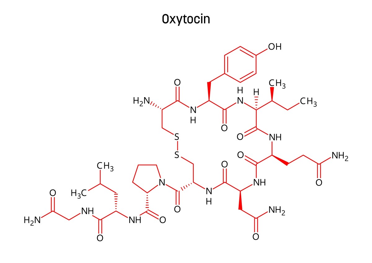 Oxytocin S dan Virker K rlighedshormonet Illvid dk