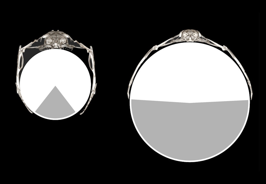 Porno yaxshi xxx Rachel Roxxx onlayn porno