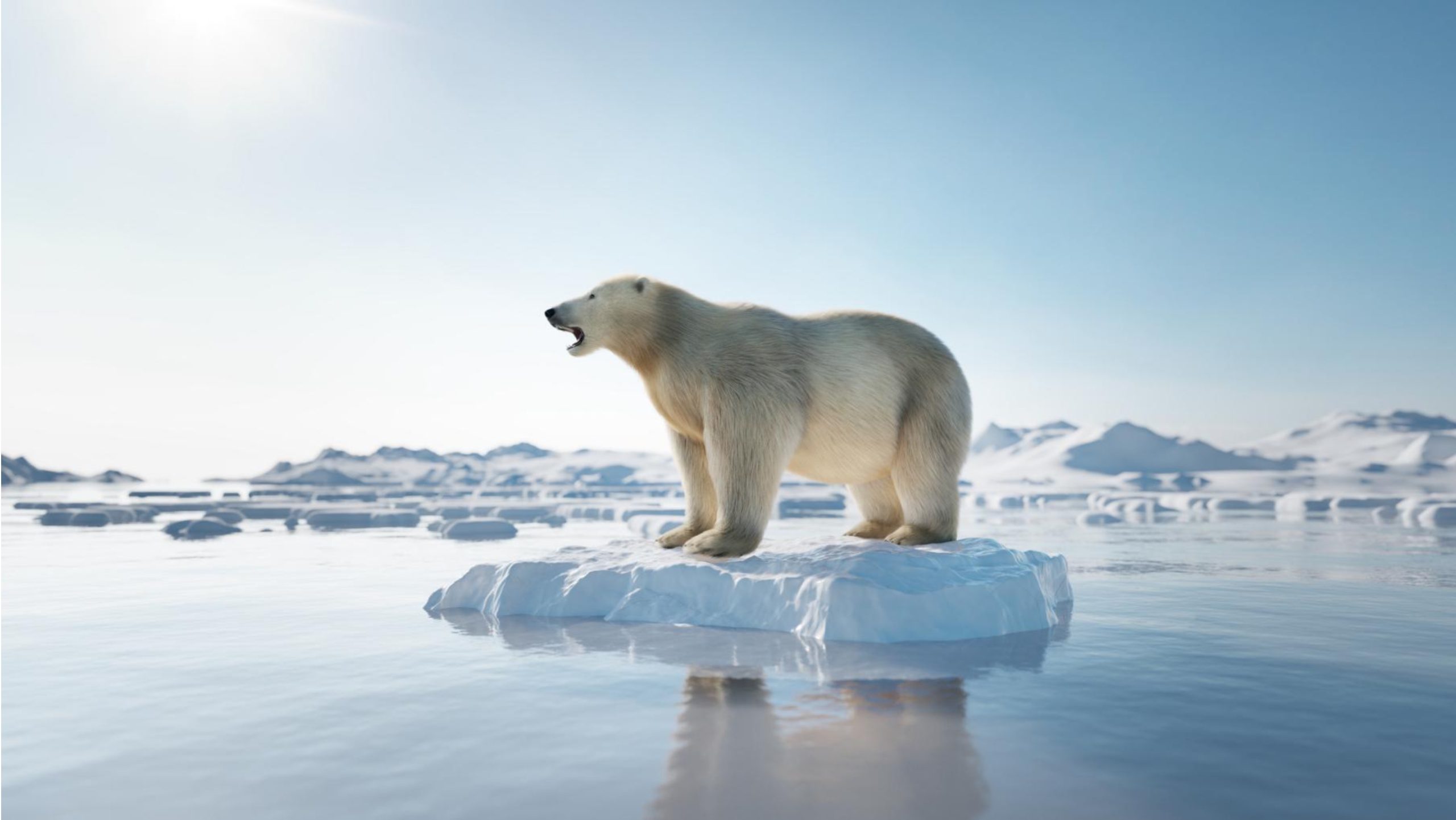 Klimaatrecords vielen vorig jaar om als dominostenen | wibnet.nl