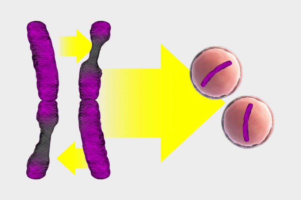 y-kromosomi-on-h-vi-m-ss-tieku-fi