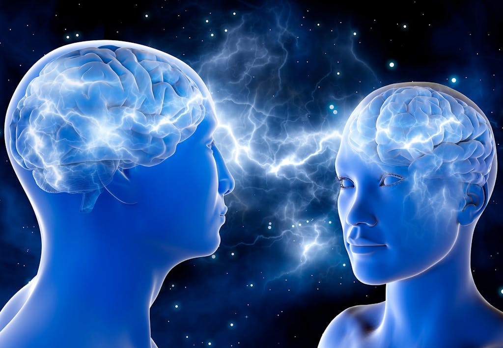 Vigtigste egenskaber ved en partner