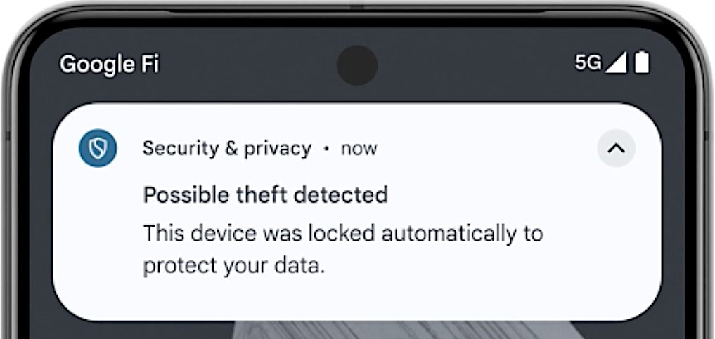 Googles Theft Detection Lock