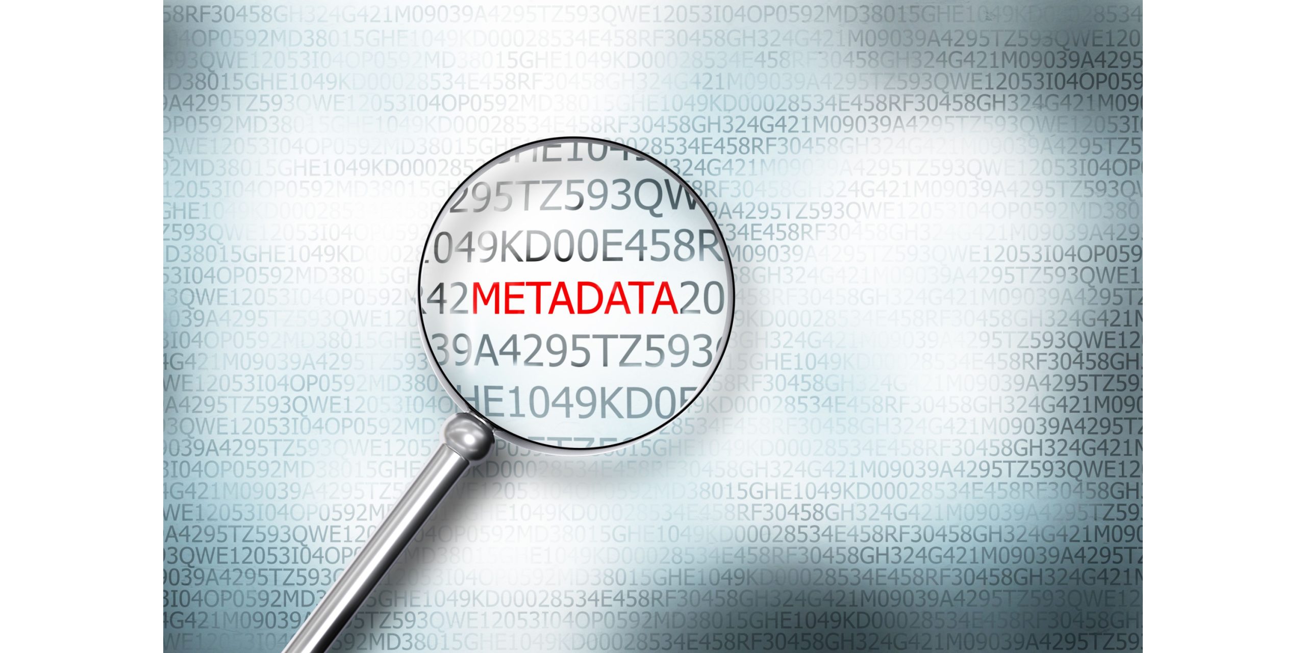 Metadata eller filoplysninger giver en masse informationer om dine filer.