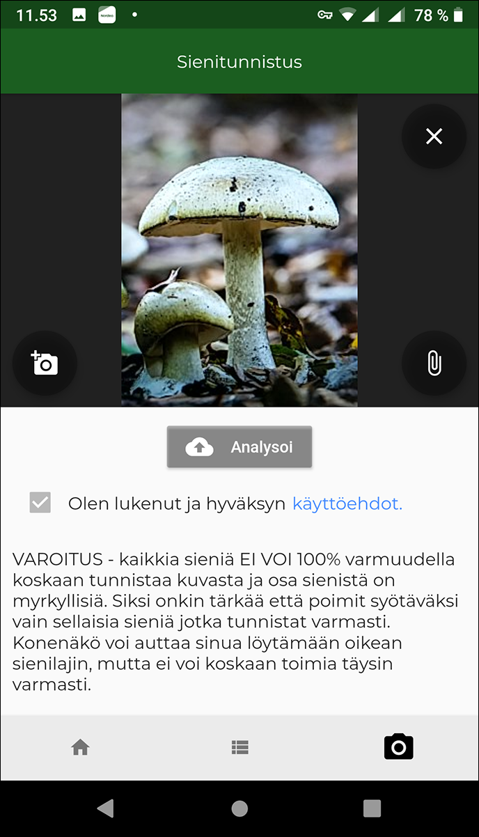 Sienitunnistus
