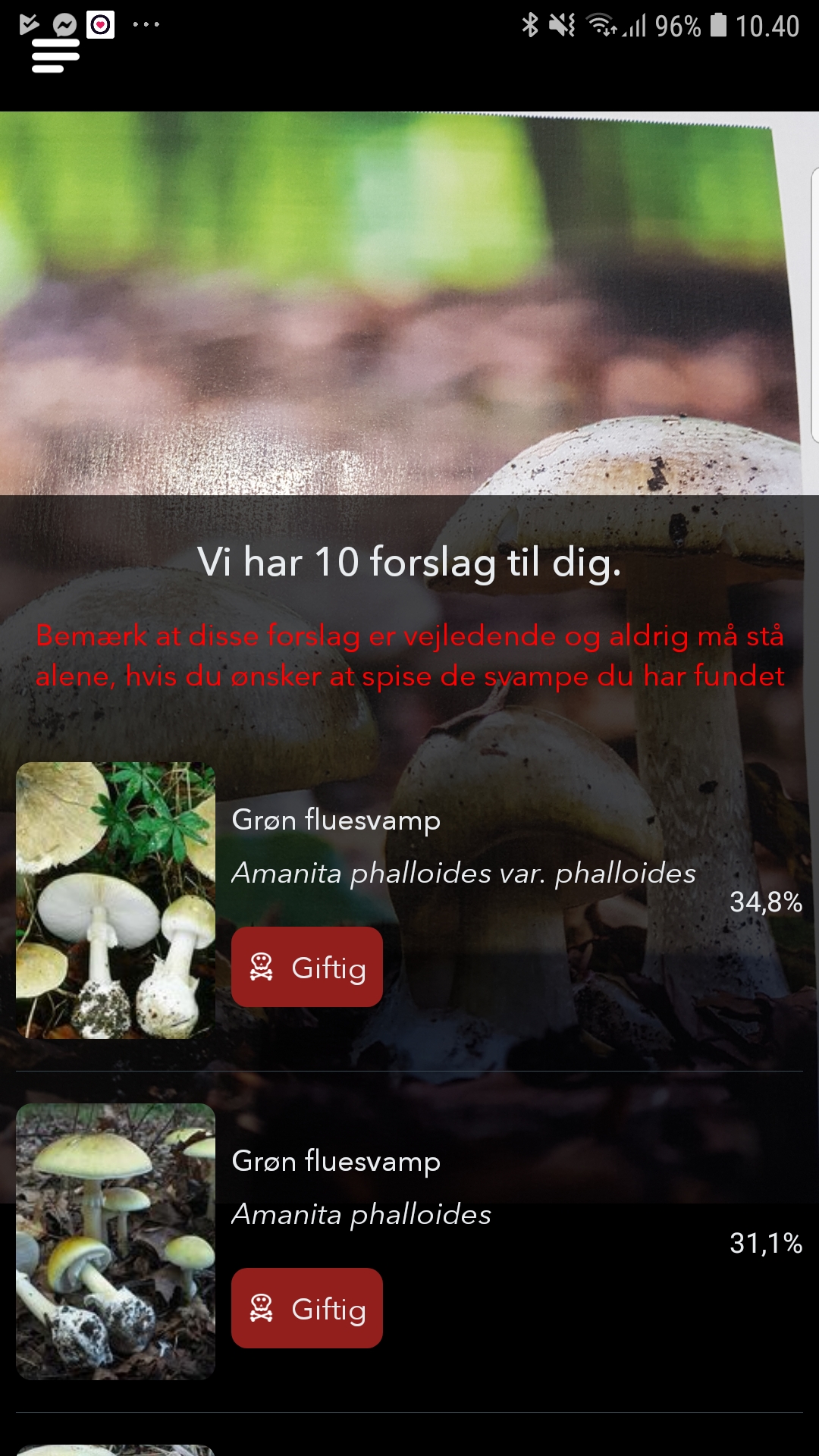 Svampeatlas spiselige svampe