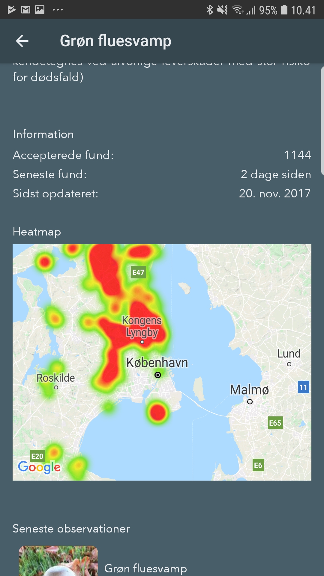 Svampeatlas - hvor findes grøn fluesvamp?