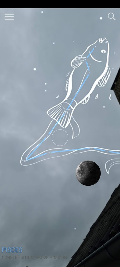 Med app'en SkyView Lite kan du se på stjerner på mobilen.