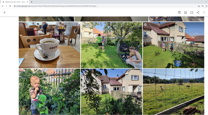 Delt mappe i Google Foto.