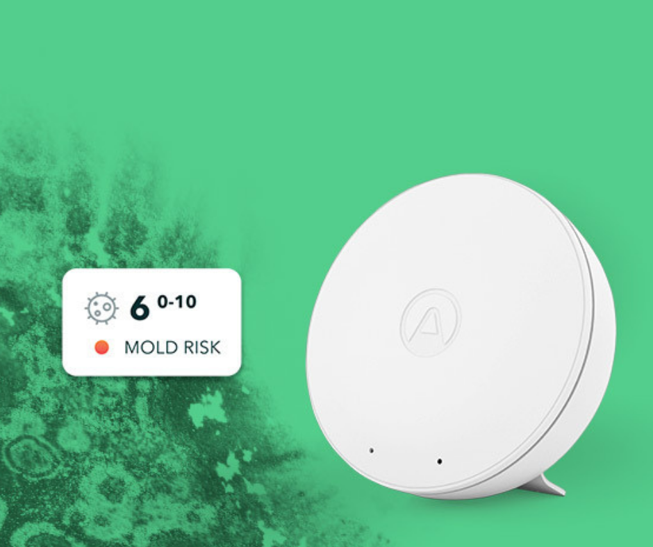 AirThings Wave Mini kan afsløre skimmelsvamp i hjemmet