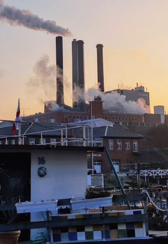 AI Image Enlargerin tekoälyn avulla poistat kuvista epäterävyydet.