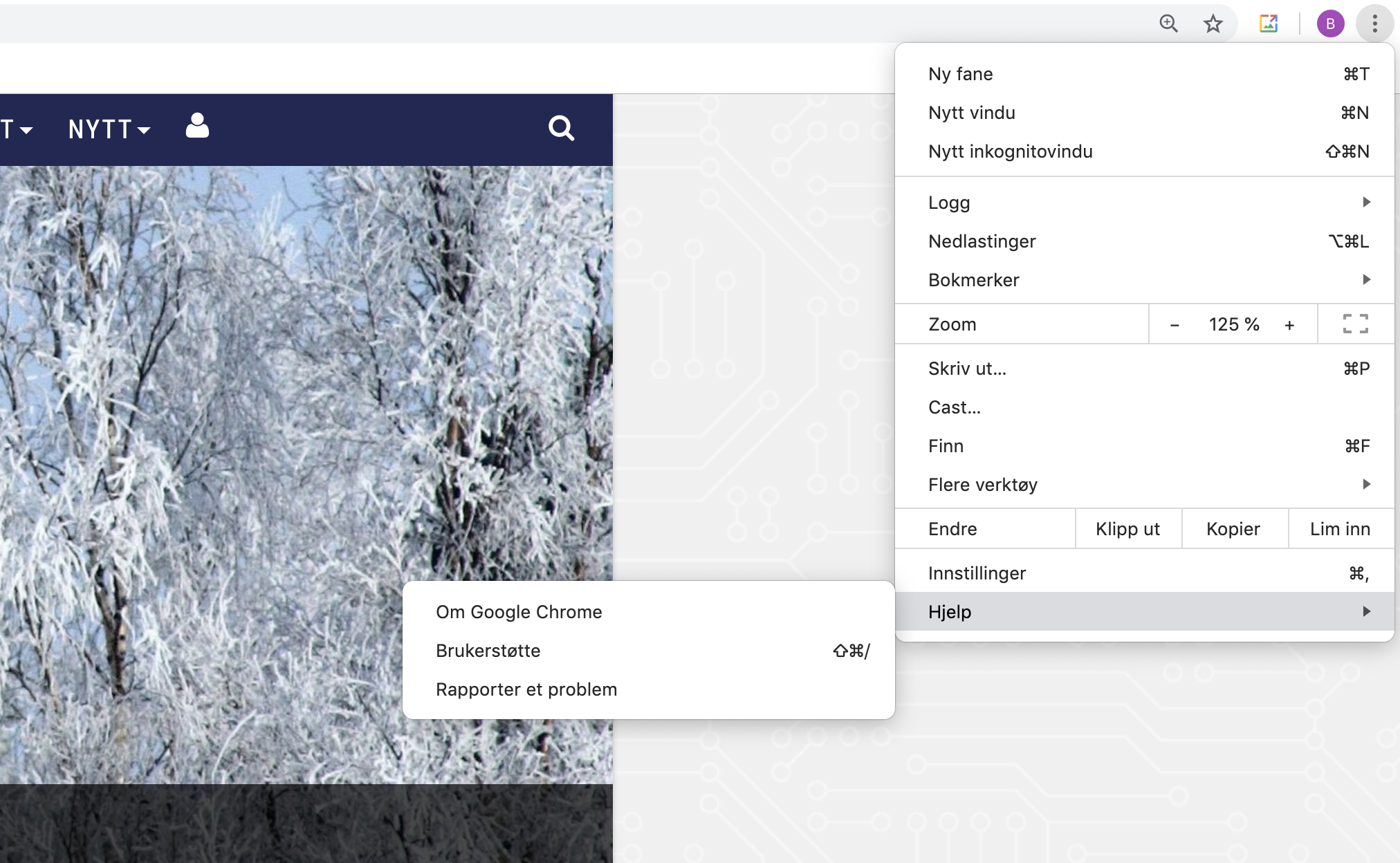 Skjermbilde av Google Chrome-nettleseren som i menyen Om Google Chrome.