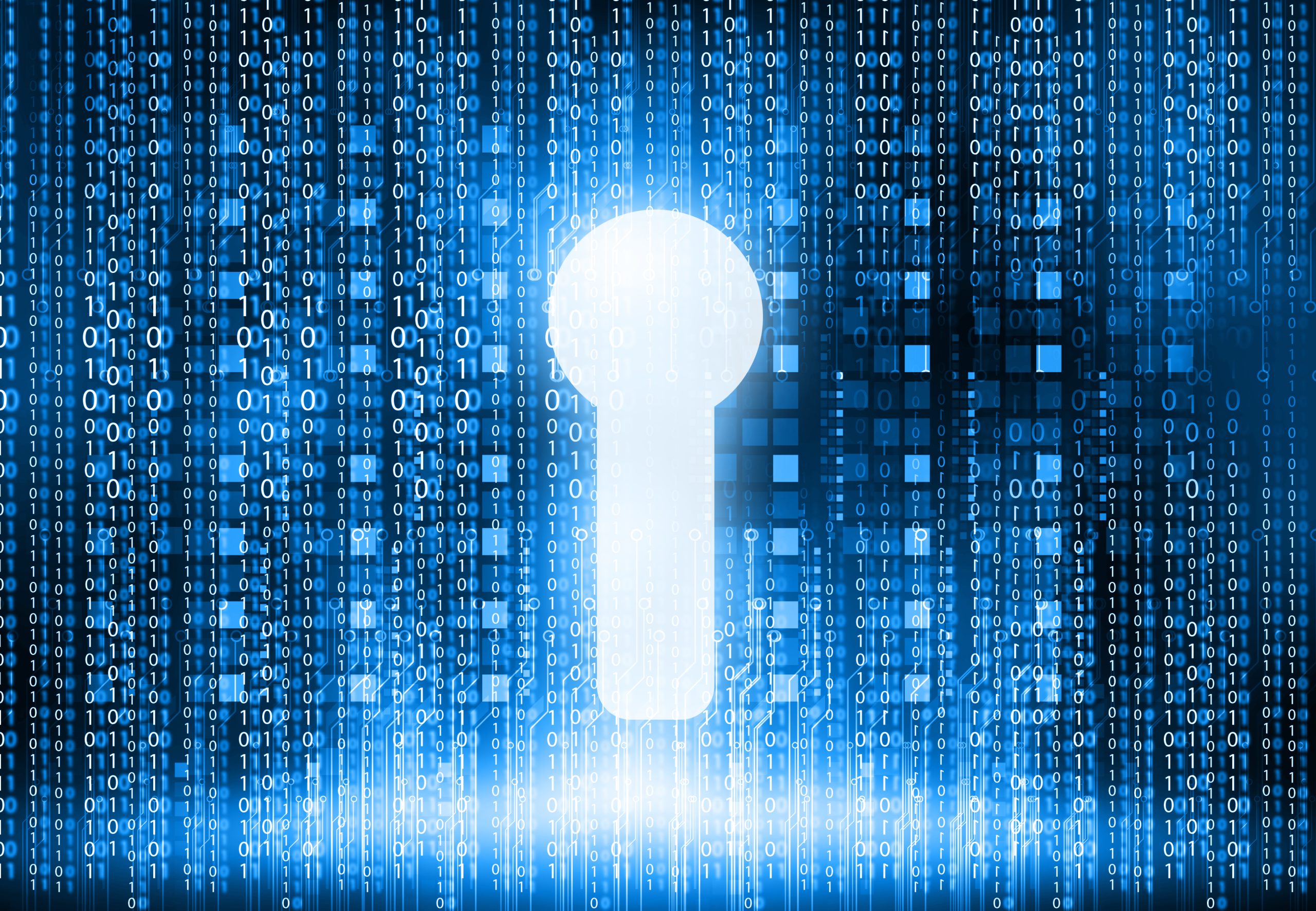 adgangskode-internet