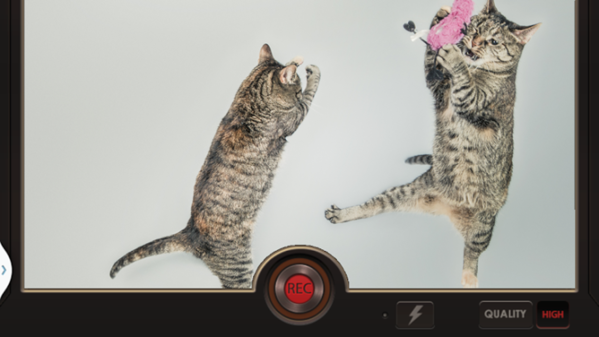 Slow Motion Video FX 2