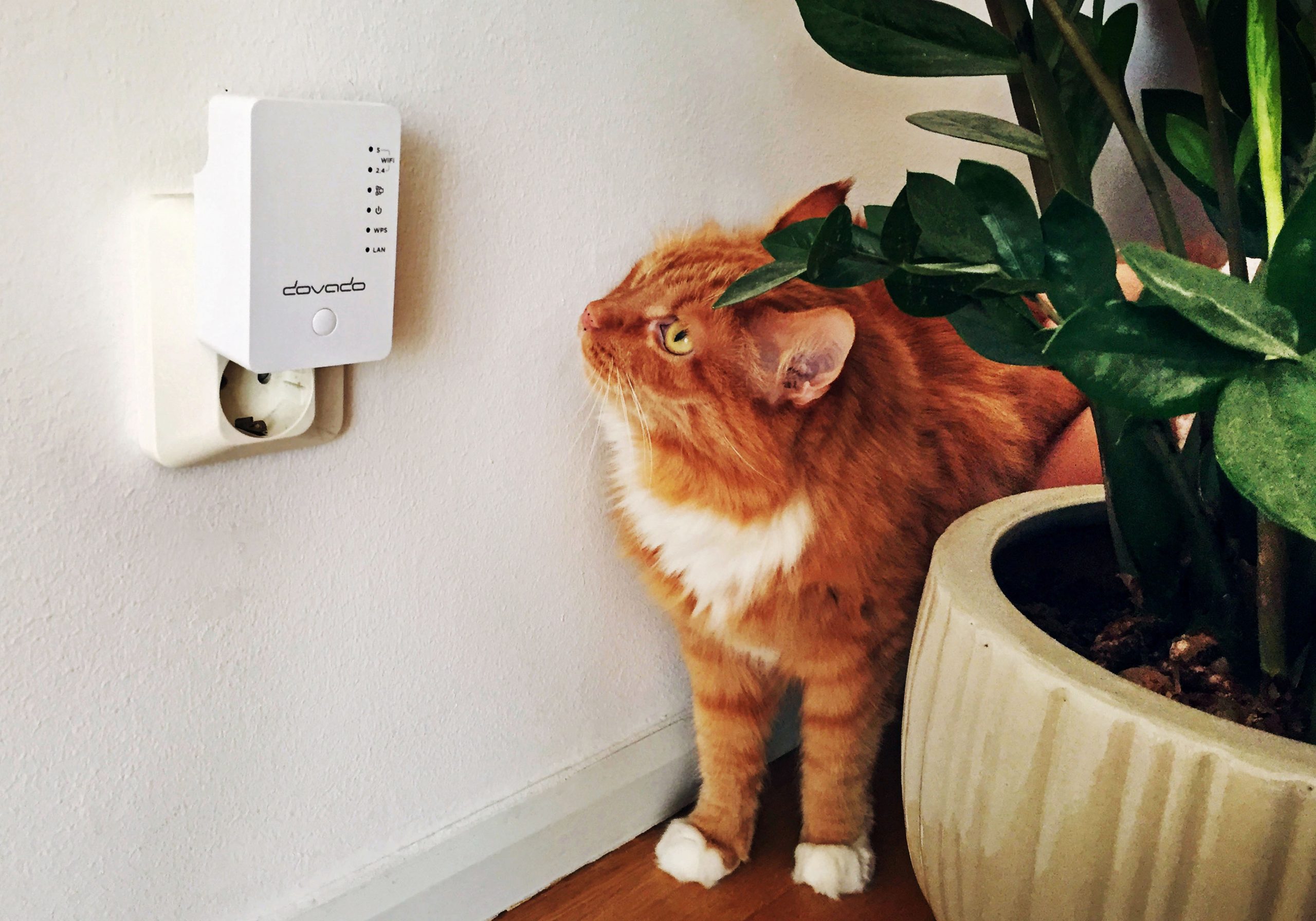 Dovado WiFi XL Mesh Kit