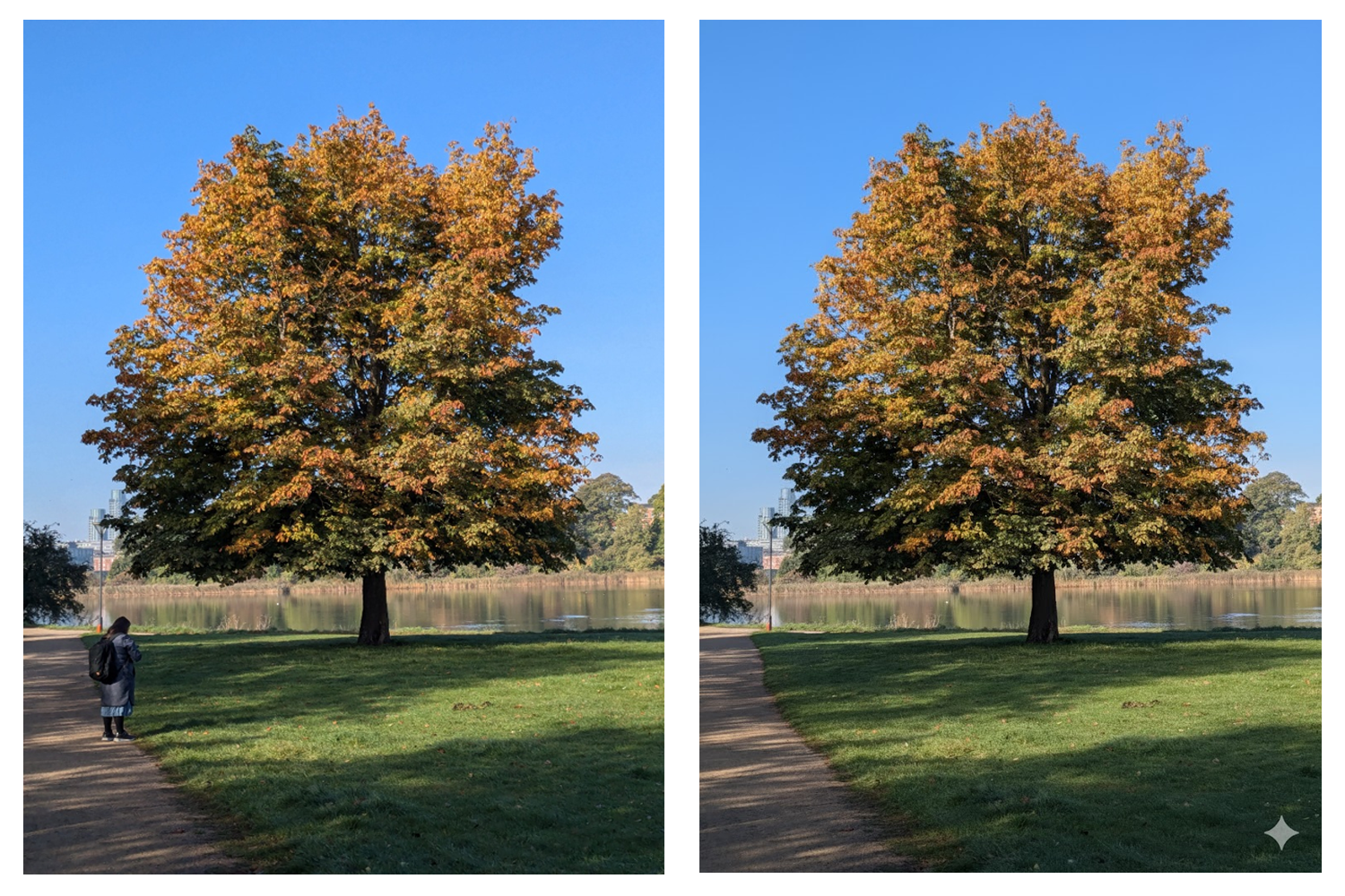 En kvinne foran et tre