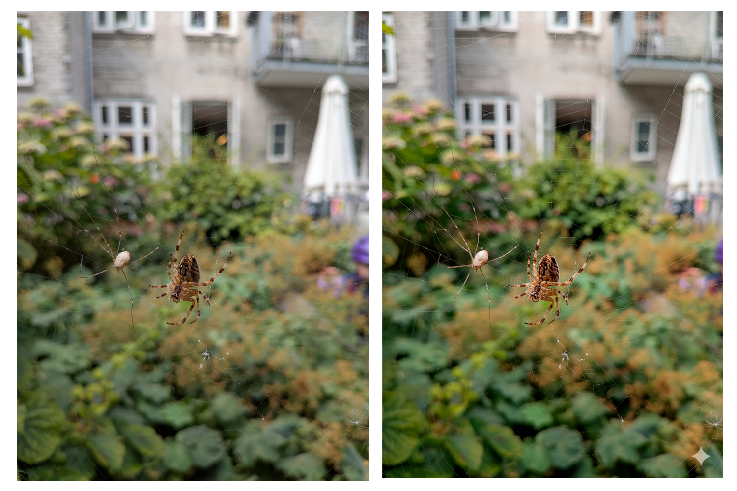 Bildet forbedres av Gemini