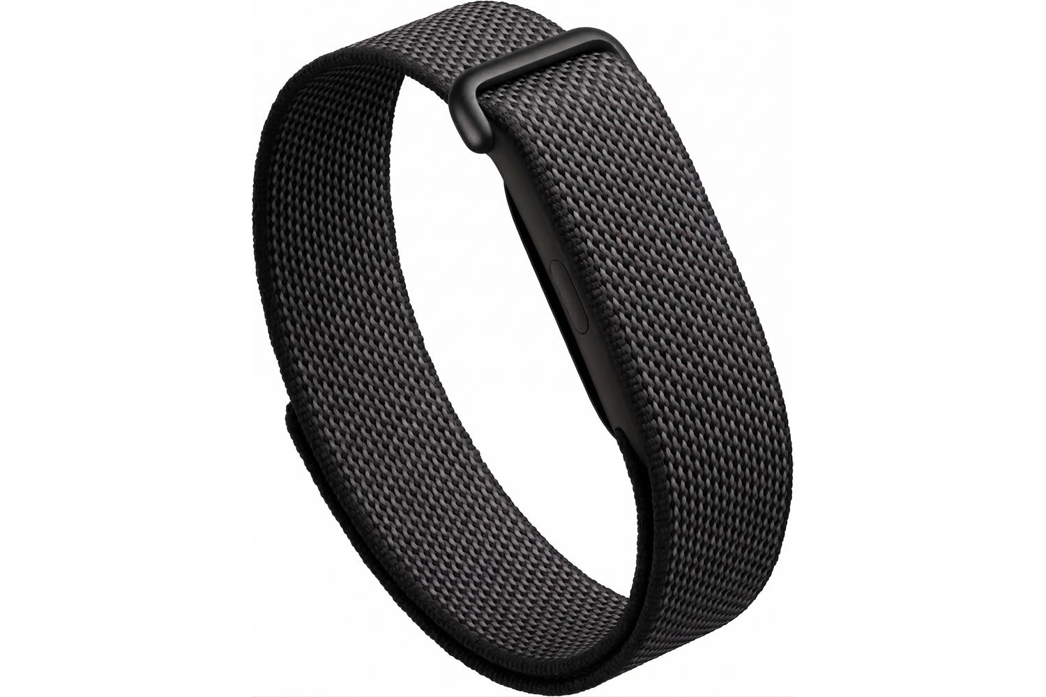 Google Fitbit Air
