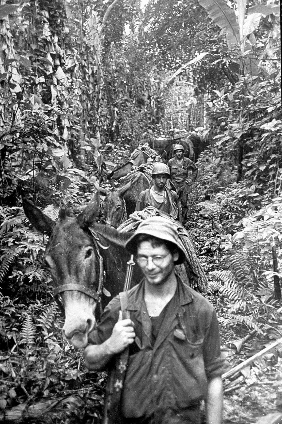 Merrills marodörer – amerikanskt elitförband i Burmas djungler under andra världskriget.