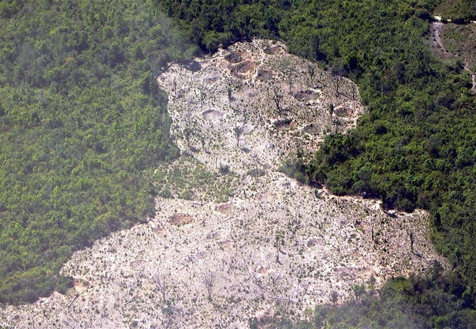 Ett planteringsområde i distriktet Ta Oy