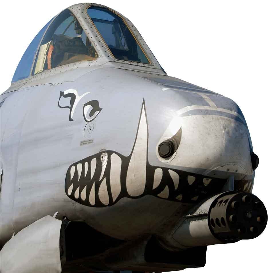 Nosmålningen på A-10 är ofta målad som en hajkäft.