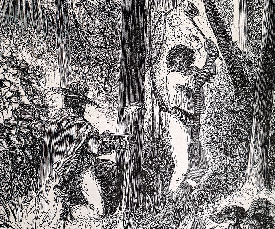 plast utvinning ikNA