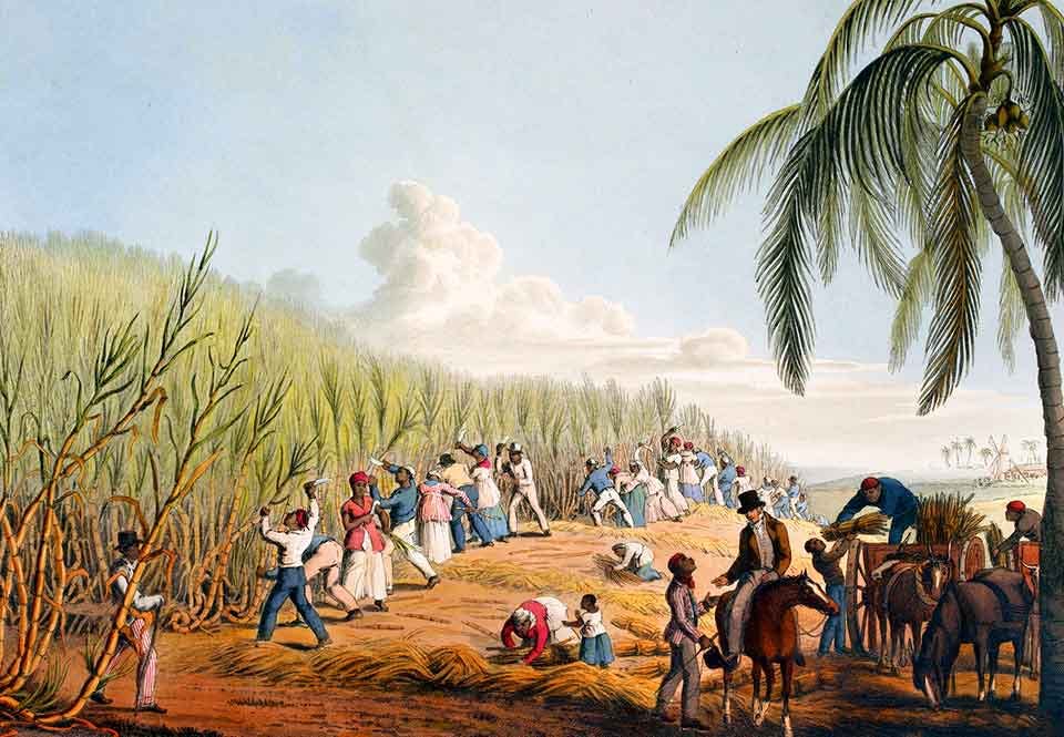 Slavar slet på plantagerna i Karibien