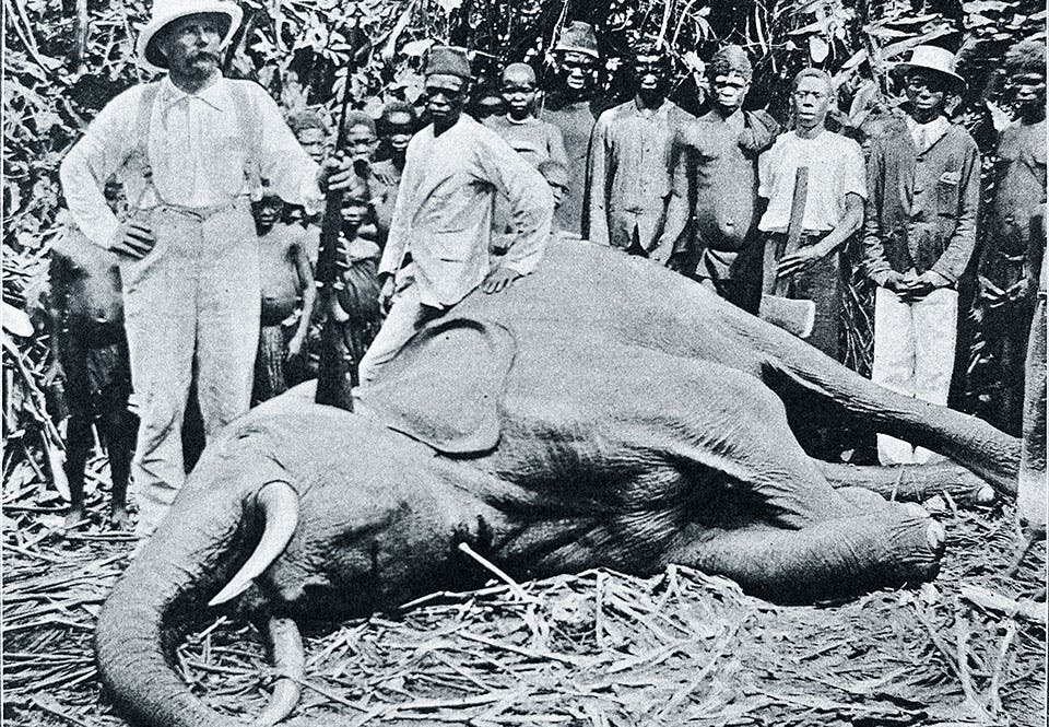 Missionären Vilhelm Sjöblom poserar vid en skjuten elefant.