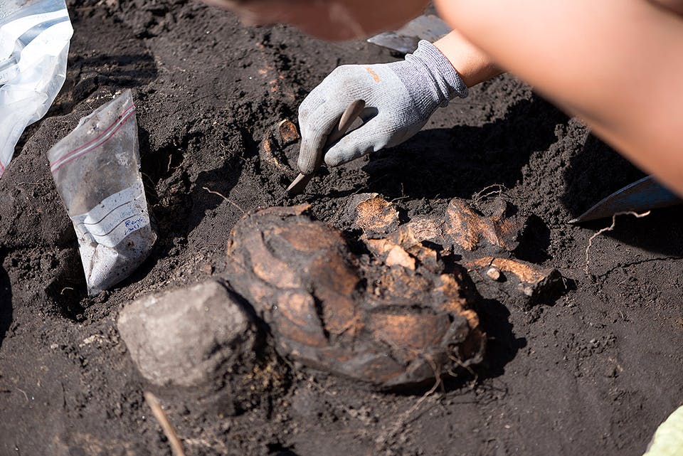 Massakern på Sandby borg, Öland. 400-talet efter Kristus. Arkeologer undersöker fynd i marken.