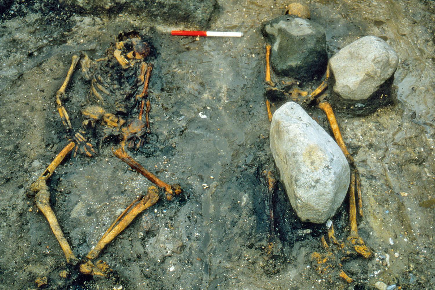 Dansk dubbelgrav från vikingatiden med två skelett. Troligen slav och kvinnlig ägare.