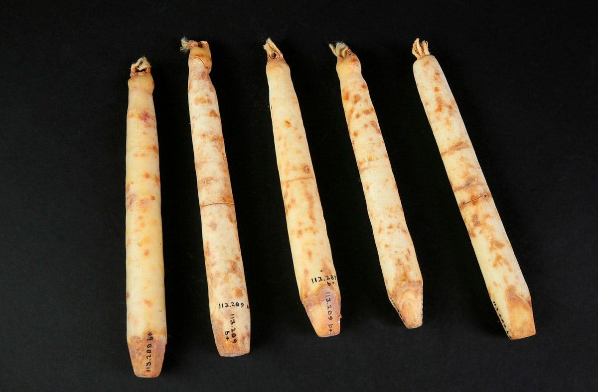 Juleljus historia vaxljus