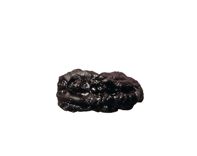 Stenalder fynd tuggummi