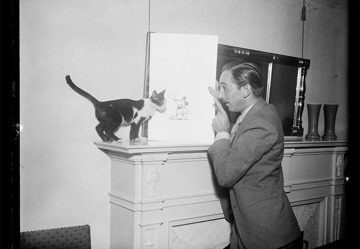 Walt Disney Musse Pigg