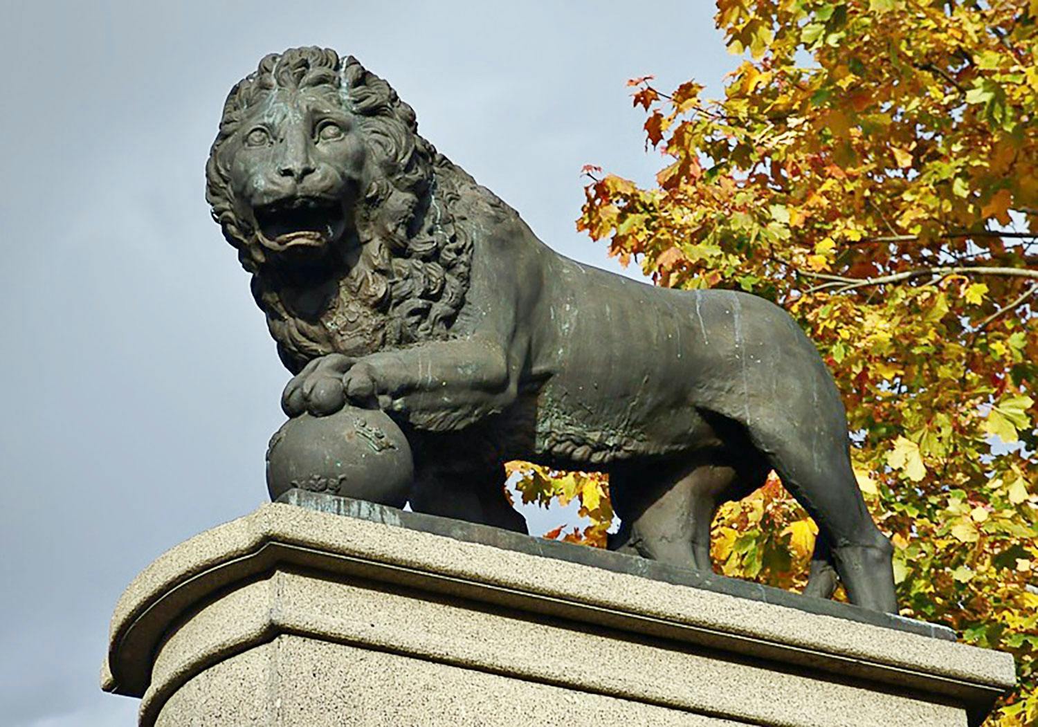 narva segerlejon OXoRxav