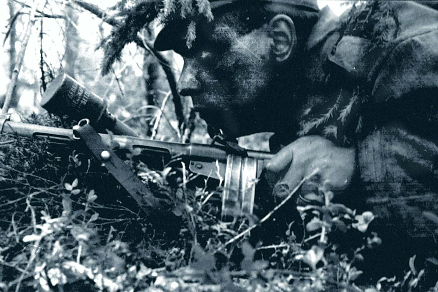 Fortsättningskriget, Finland under andra världskriget.