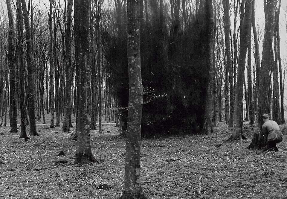 sprängövning i skogen sprängövning i skogen