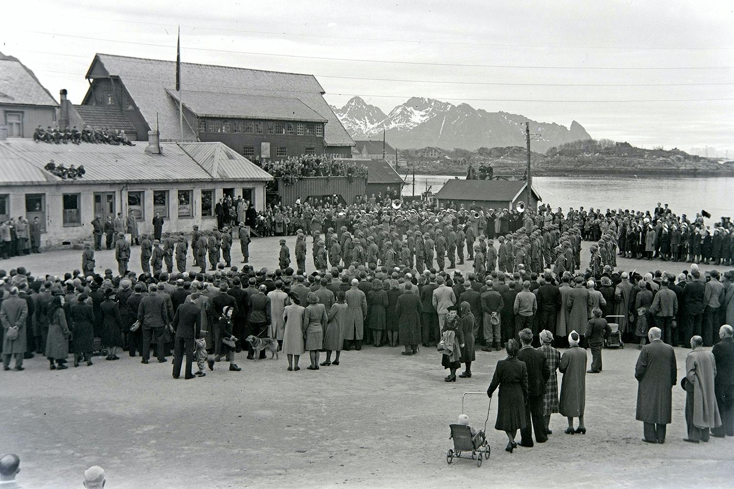 polistrupper svolvaed