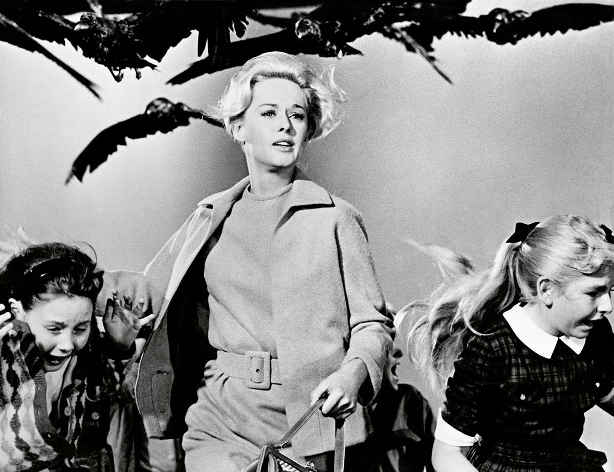 Alfred Hitchcock | Fåglarna Alfred Hitchcock | Fåglarna