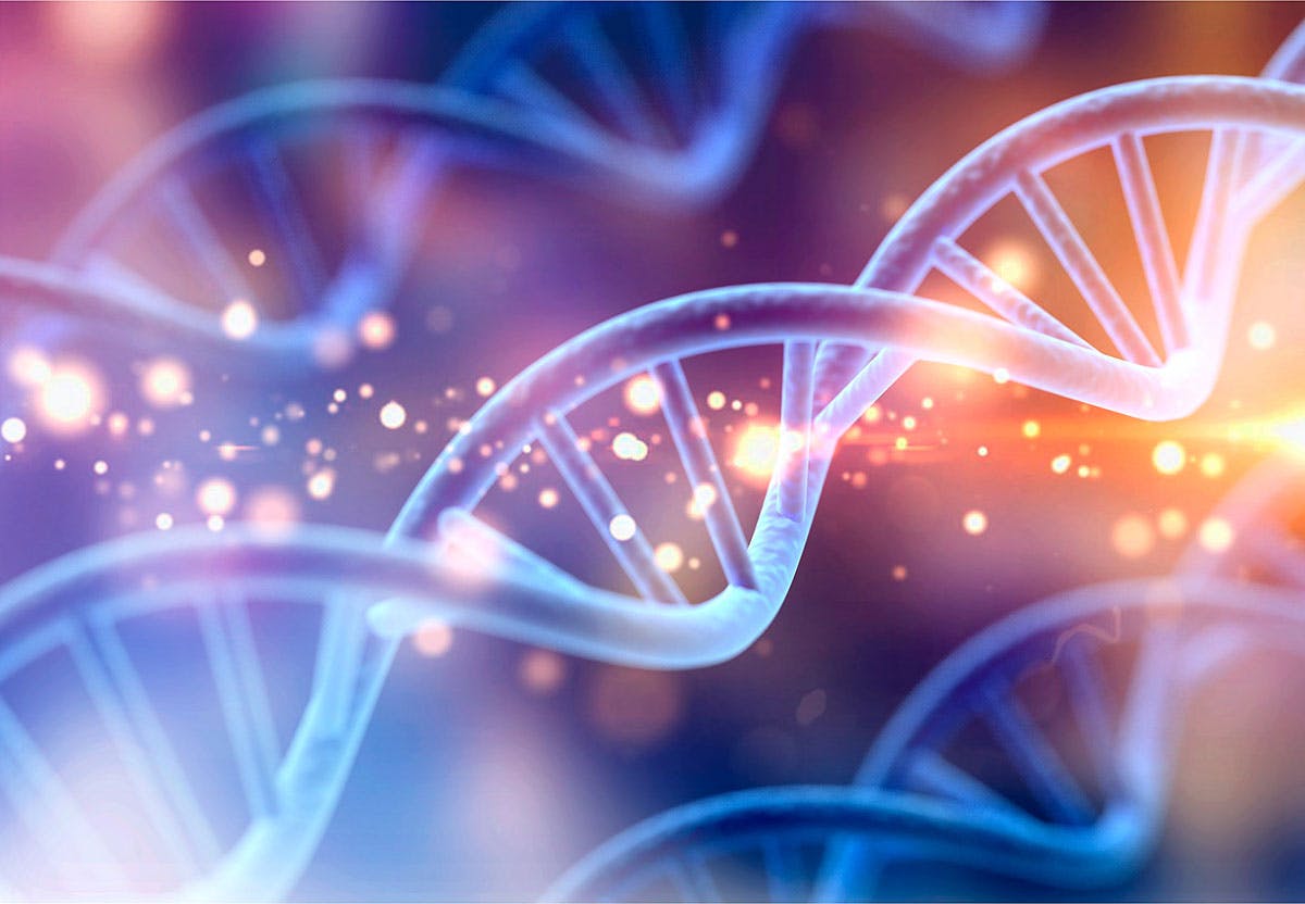 DNA upptackt | Historia
