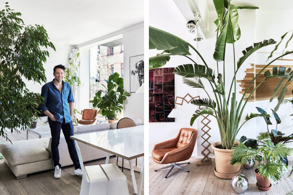 Jakob Lange in zijn woonkamer in Kopenhagen, waar grote planten alle ruimte krijgen. 