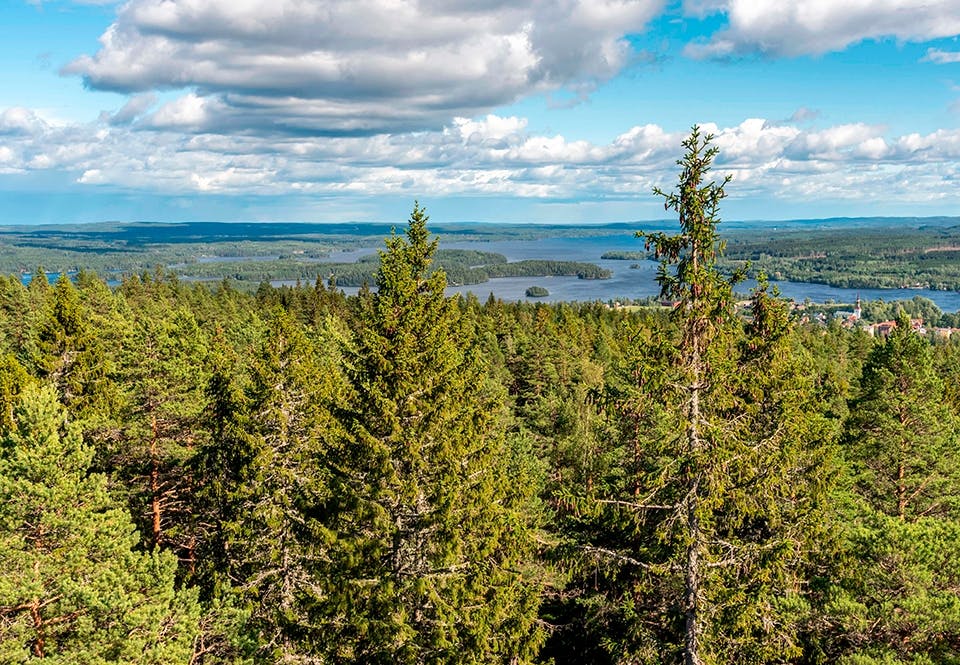 Vy över Smedjebacken