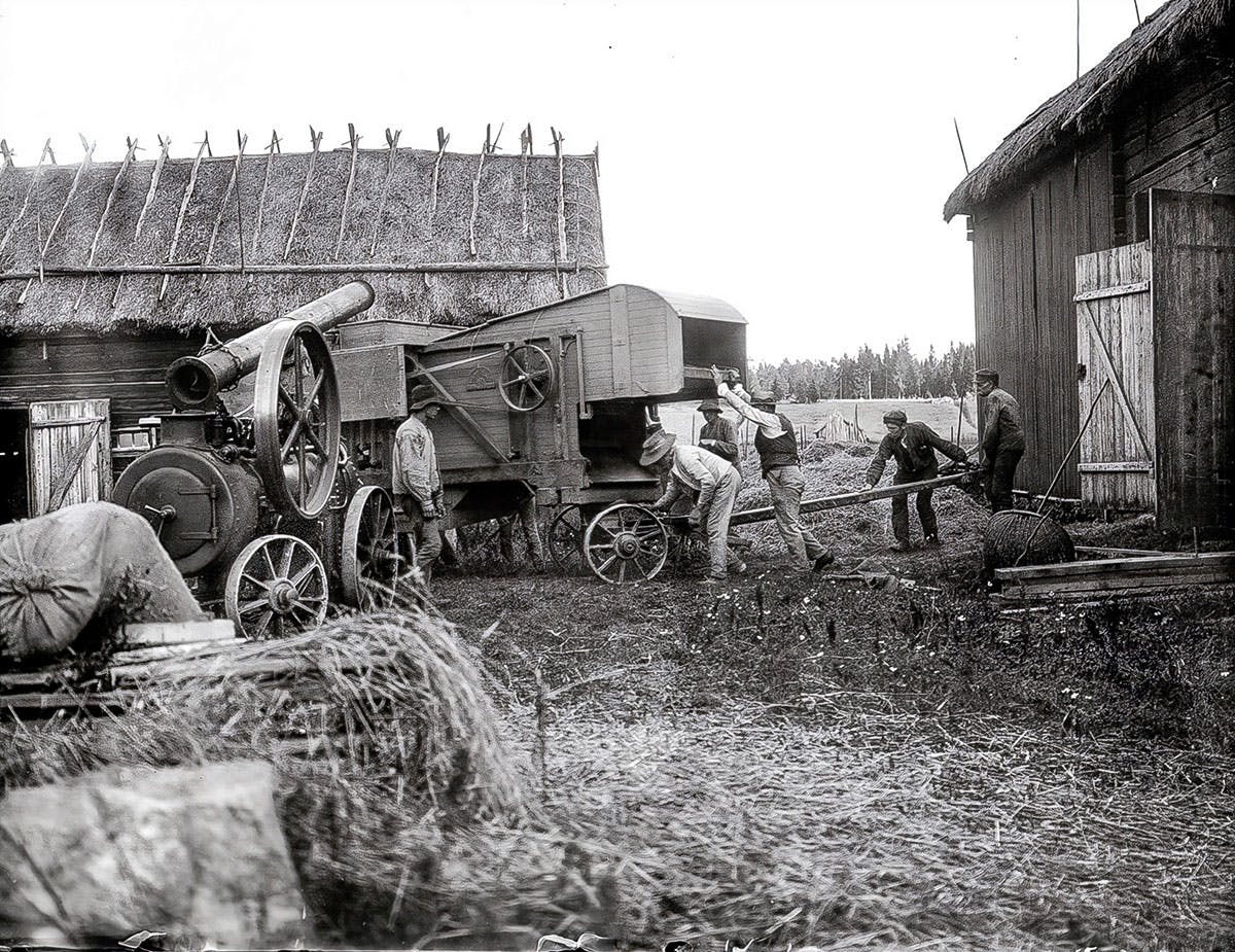 Bondeliv Sverige 1800-tal