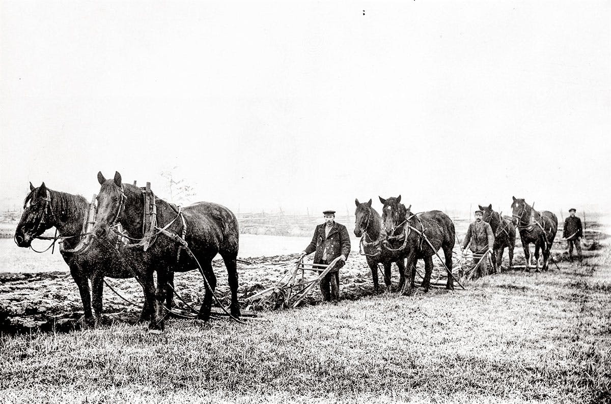 Bondelivet i Sverige | Historia